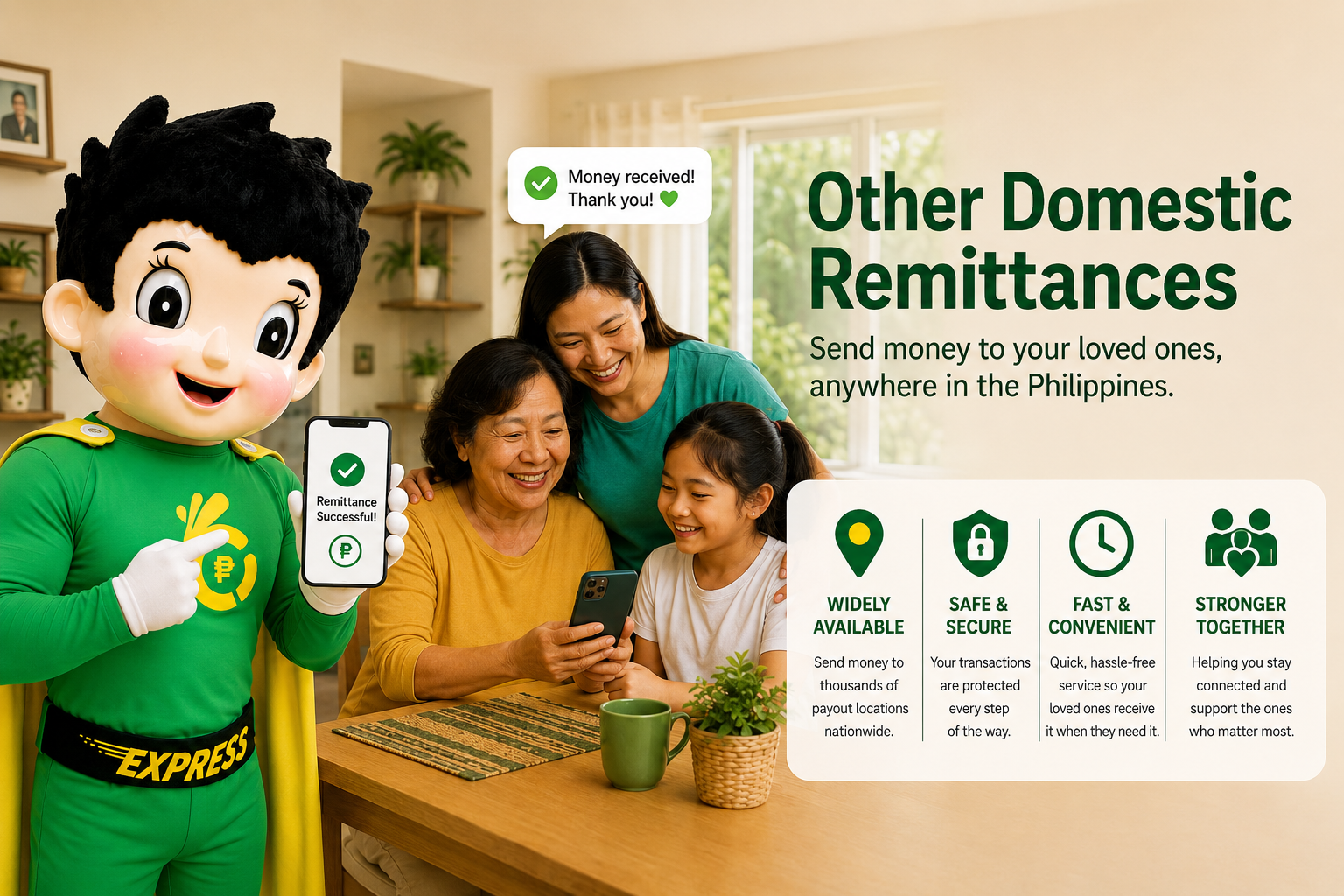 other domestic remittances